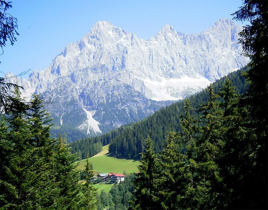 Fruehstueckspension Roetelstein Ramsau am Dachstein Eksteriør bilde