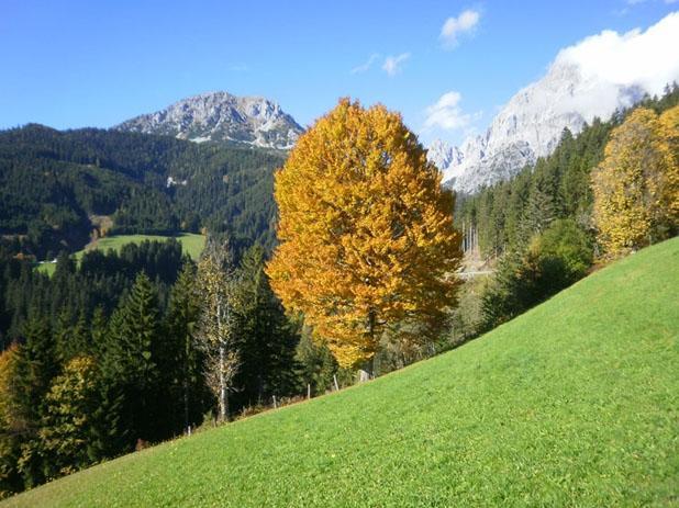 Fruehstueckspension Roetelstein Ramsau am Dachstein Eksteriør bilde
